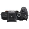 buy sony a7r iii body