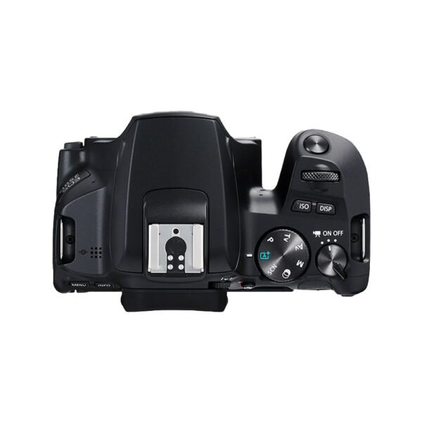 Canon 250D with 18-55 STM Lens