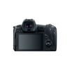 Canon EOS R with RF 50mm f1.8 STM